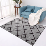 Cozy Home Crystal Velvet Carpet